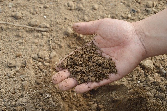 Una mano sosteniendo tierra de la finca demostrativa